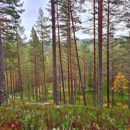 Stuga Ros Naturcamping Lagom Gräsmark Extérieur photo