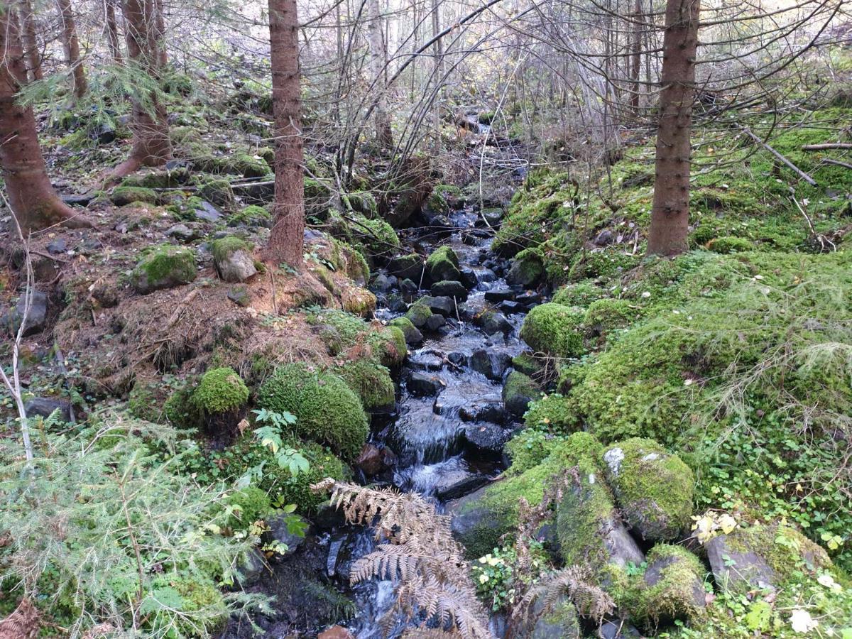 Stuga Ros Naturcamping Lagom Gräsmark Extérieur photo