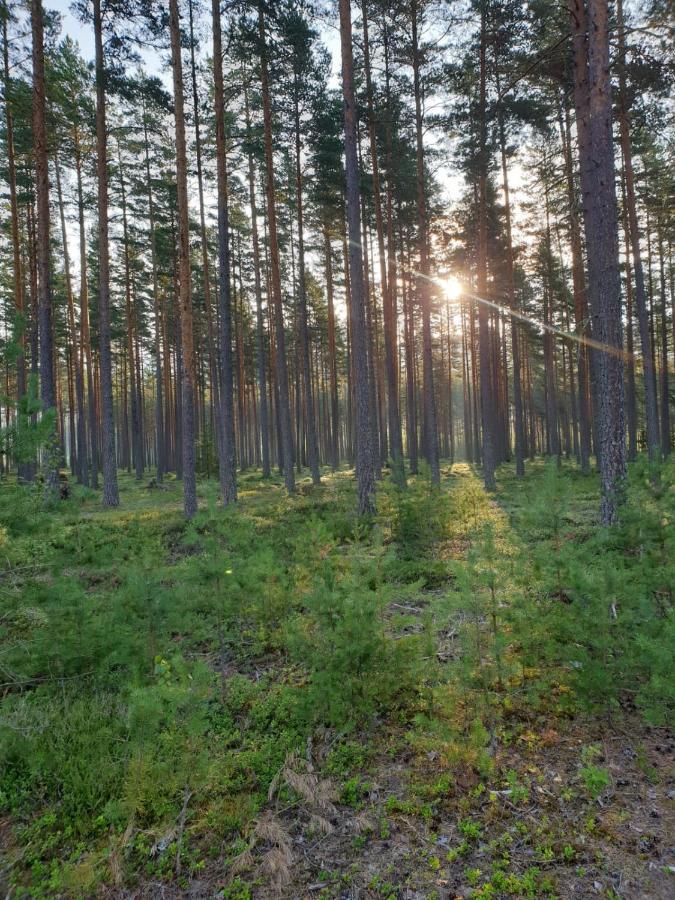 Stuga Ros Naturcamping Lagom Gräsmark Extérieur photo